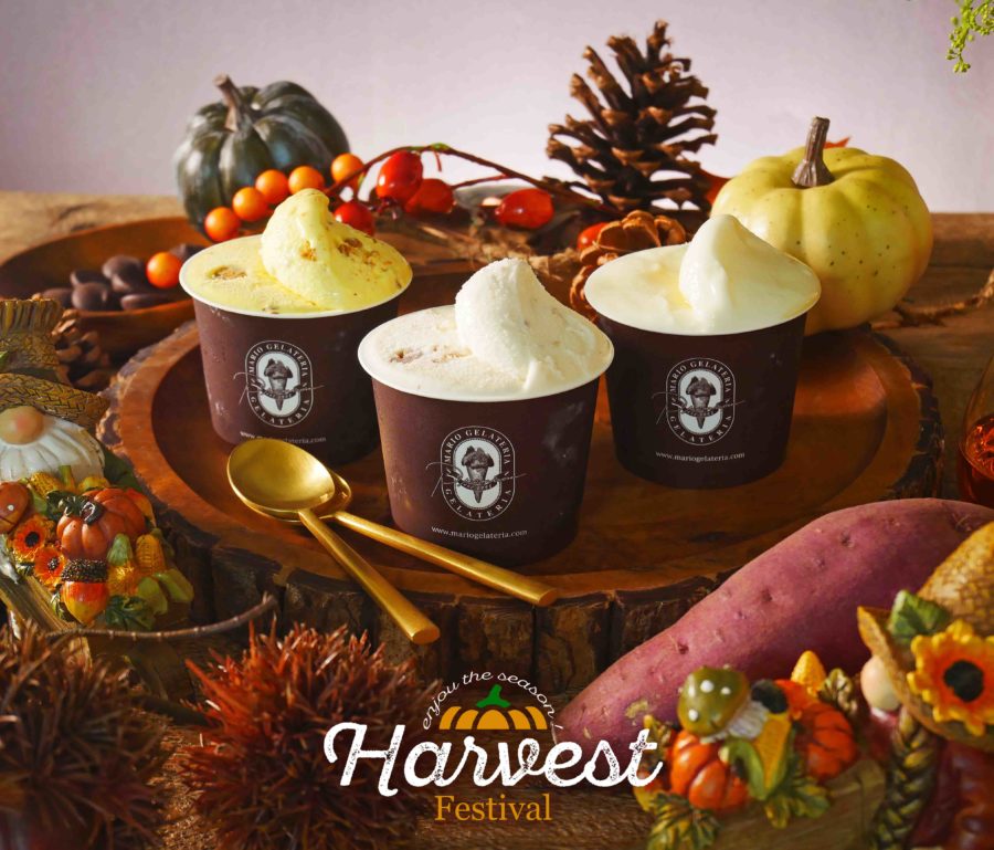 激レア/絶版★ ダンバリーミント タラデガ スーパースピードウェイ ジオラマ ★ Battle of the Ports - Street Racer (ストリートレーサー) Show #271